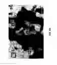 Fig. 10 - Composition of a nickelate composite cathode for a fuel cell