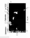 Fig. 13 - Composition of a nickelate composite cathode for a fuel cell