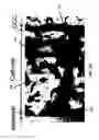 Fig. 14 - Composition of a nickelate composite cathode for a fuel cell