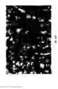 Fig. 16 - Composition of a nickelate composite cathode for a fuel cell