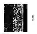 Fig. 17 - Composition of a nickelate composite cathode for a fuel cell