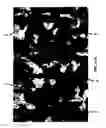 Fig. 15 - Composition of a nickelate composite cathode for a fuel cell