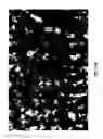 Fig. 16 - Composition of a nickelate composite cathode for a fuel cell