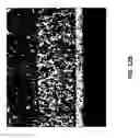 Fig. 18 - Composition of a nickelate composite cathode for a fuel cell