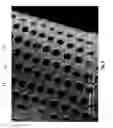 Fig. 03 - Diatomaceous energy storage devices