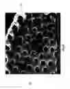 Fig. 08 - Diatomaceous energy storage devices