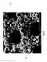 Fig. 11 - Diatomaceous energy storage devices
