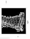 Fig. 12 - Diatomaceous energy storage devices