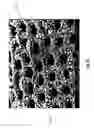 Fig. 18 - Diatomaceous energy storage devices