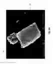 Fig. 19 - Diatomaceous energy storage devices