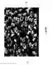 Fig. 20 - Diatomaceous energy storage devices
