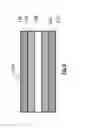 Fig. 31 - Diatomaceous energy storage devices