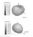 Fig. 05 - ANTENNA AND METHOD OF MANUFACTURING AN ANTENNA
