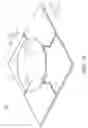 Fig. 02 - Multiple polarized antenna