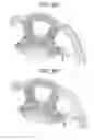 Fig. 12 - Rotor and permanent magnet electric motor
