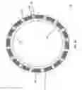 Fig. 10 - Electric motor with Halbach array and ferrofluid core