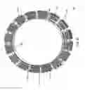 Fig. 12 - Electric motor with Halbach array and ferrofluid core