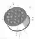 Fig. 22 - Electric motor with Halbach array and ferrofluid core