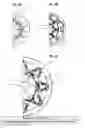 Fig. 04 - Device including material originating from magnetic particles providing structural and magnetic capabilities