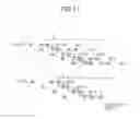 Fig. 08 - Wireless communication method and wireless communication device
