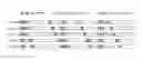 Fig. 01 - Method for mapping physical hybrid automatic repeat request indicator channel