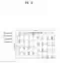 Fig. 13 - Channel-sounding method using a plurality of antennas, and apparatus for same