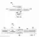 Fig. 06 - System and method for VNF termination management
