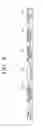Fig. 09 - Transmitter, receiver and controlling method thereof