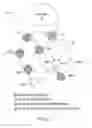 Fig. 02 - Multi-rate overlay mode in wireless communication systems