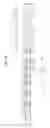 Fig. 72 - Broadcast signal transmitting method, broadcast signal receiving method, broadcast signal transmitting apparatus, and broadcast signal receiving apparatus