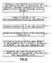 Fig. 10 - System and method for distributing “semi-blind” electronic messages
