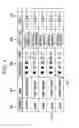Fig. 05 - System and method for broadcasting audio tweets