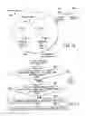 Fig. 12 - Communication system, wireless communication apparatus, and communication method