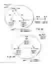 Fig. 16 - Communication system, wireless communication apparatus, and communication method
