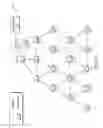 Fig. 02 - Remote crowd attestation in a network