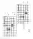 Fig. 12 - Robust image feature based video stabilization and smoothing
