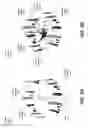 Fig. 06 - Generating stereoscopic pairs of images from a single lens camera