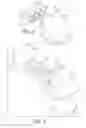 Fig. 06 - 3D image capture apparatus with depth of field extension