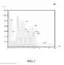 Fig. 06 - Depth masks for image segmentation for depth-based computational photography