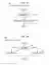 Fig. 17 - CODING METHOD USING MOTION MODEL INFORMATION