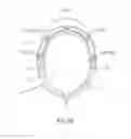 Fig. 08 - Wireless audio accessory for attachment to an article of clothing