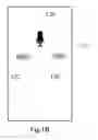 Fig. 03 - Sound recording method and device