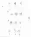 Fig. 08 - Augmented reality visual Wi-Fi signal