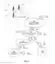 Fig. 09 - Augmented reality visual Wi-Fi signal