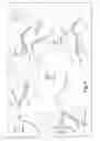 Fig. 07 - Mobile cellular networks