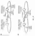 Fig. 20 - Method and apparatus at the physical and link layer for mobile communications