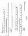Fig. 27 - Method and apparatus at the physical and link layer for mobile communications