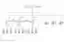 Fig. 01 - Communication apparatus and communication system