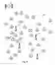 Fig. 09 - Local area network assisted positioning