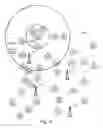 Fig. 13 - Local area network assisted positioning